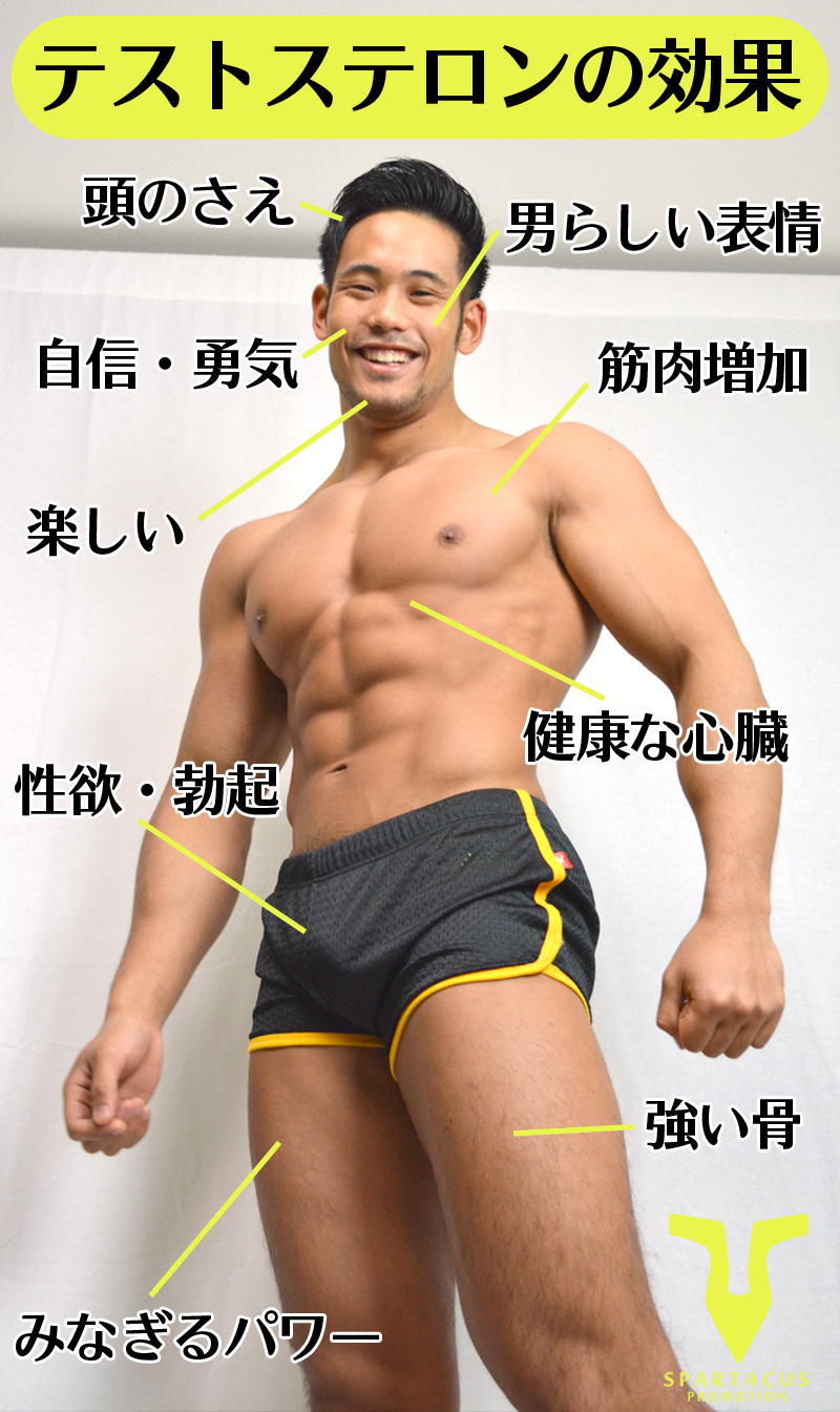 AV男優募集 テストステロンの効果